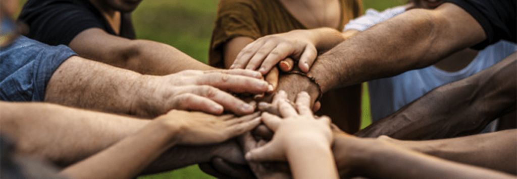 NGO Advisory Services
